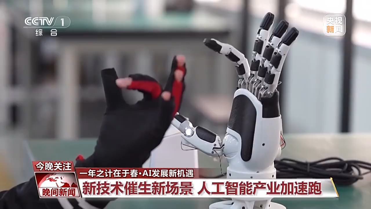 家队目前的