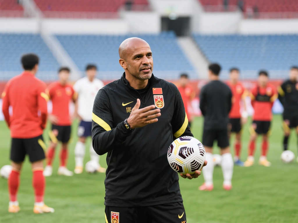 马来西亚羽 马来西亚羽